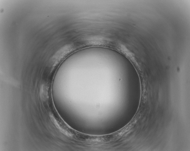 X0000060750106200511171133