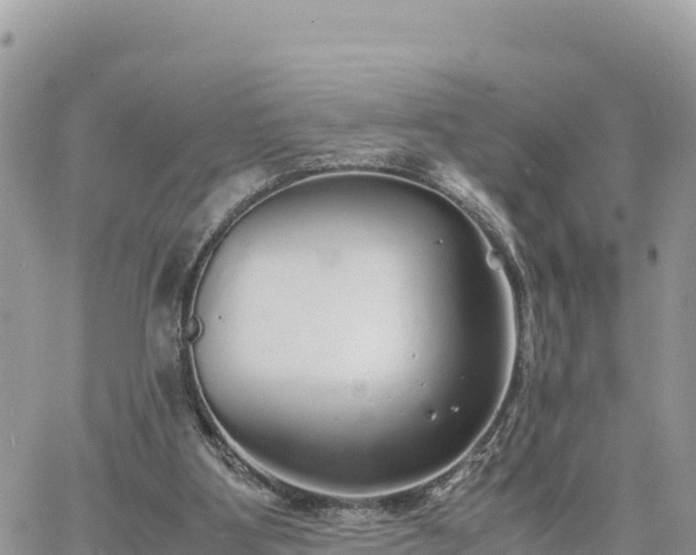 X0000060750107200511171133