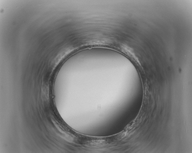 X0000060750108200511171133