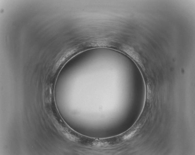 X0000060750109200511171132