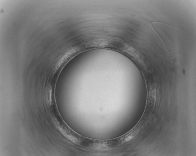 X0000060750110200511171132