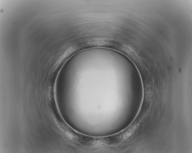 X0000060750111200511171132