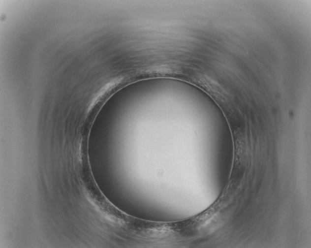 X0000060750112200511171132