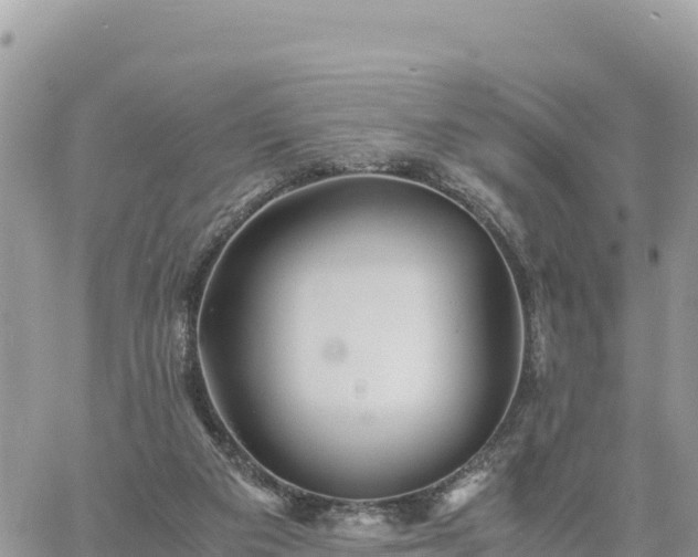 X0000060750113200511171132