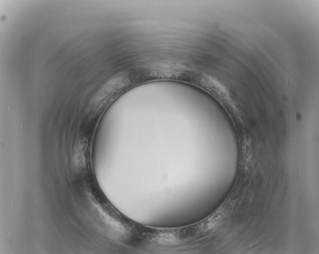 X0000060750114200511171132