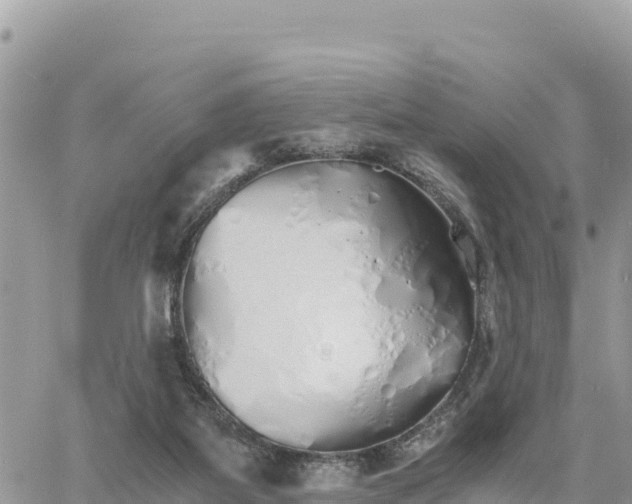 X0000060750115200511171132