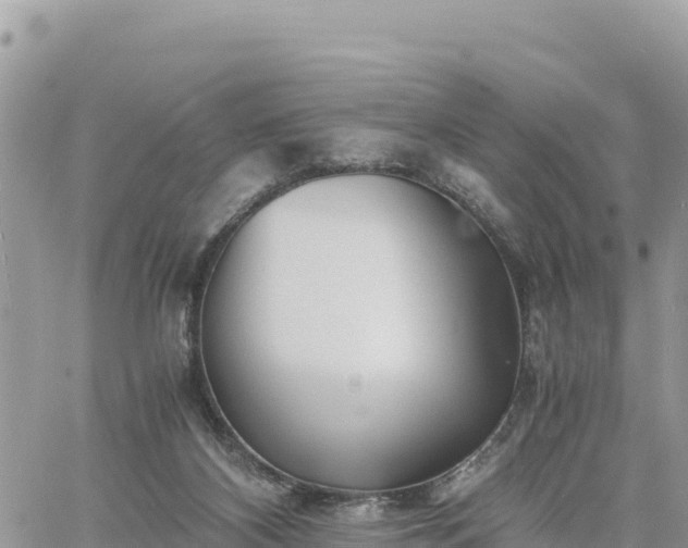 X0000060750116200511171132