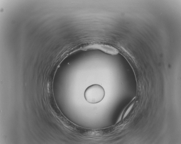 X0000060750117200511171132