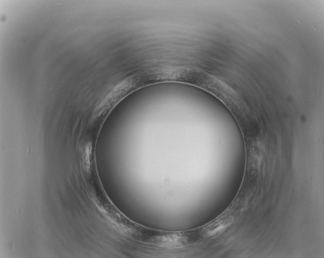 X0000060750118200511171132