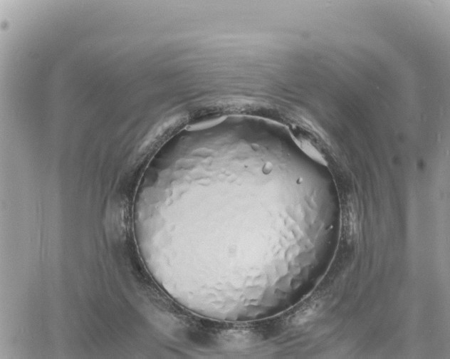 X0000060750119200511171132