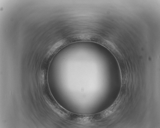 X0000060750120200511171132