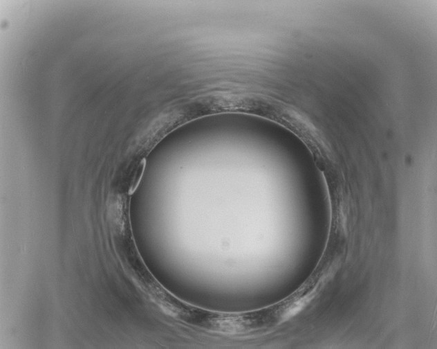 X0000060750121200511171132