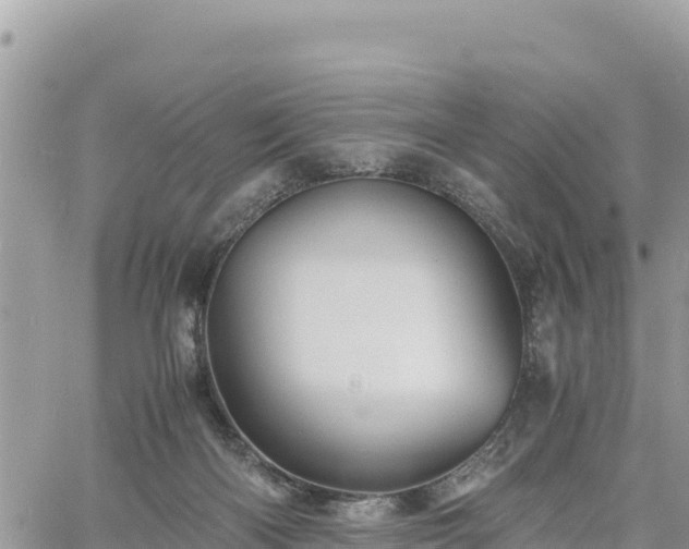 X0000060750122200511171132