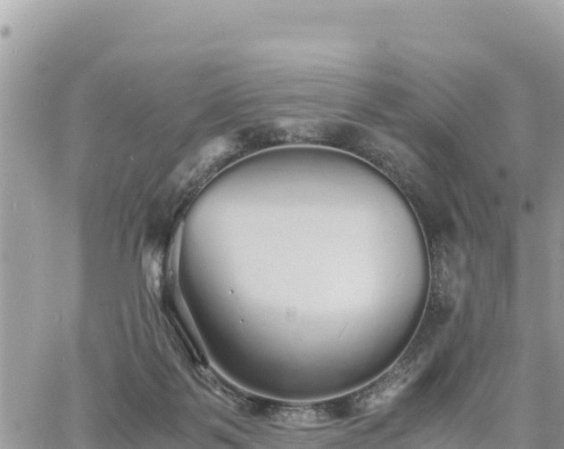 X0000060750123200511171132