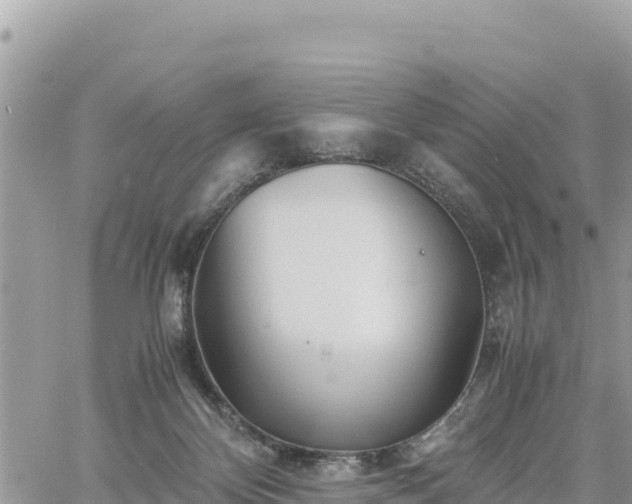 X0000060750124200511171132