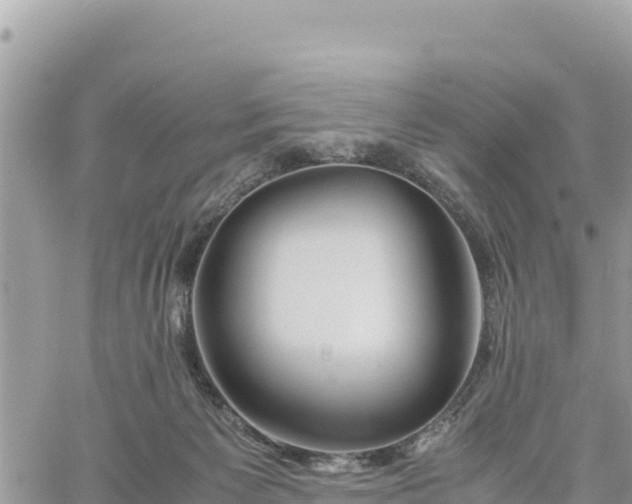 X0000060750125200511171132