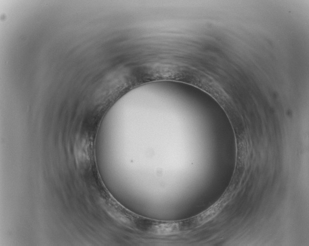 X0000060750126200511171132