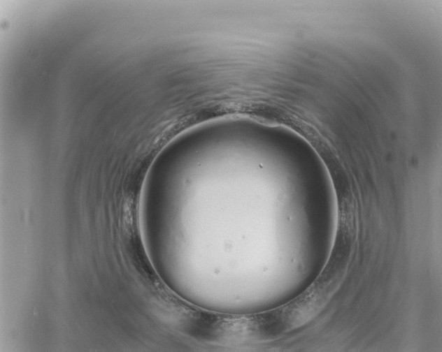 X0000060750127200511171132