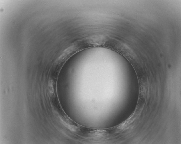 X0000060750128200511171132