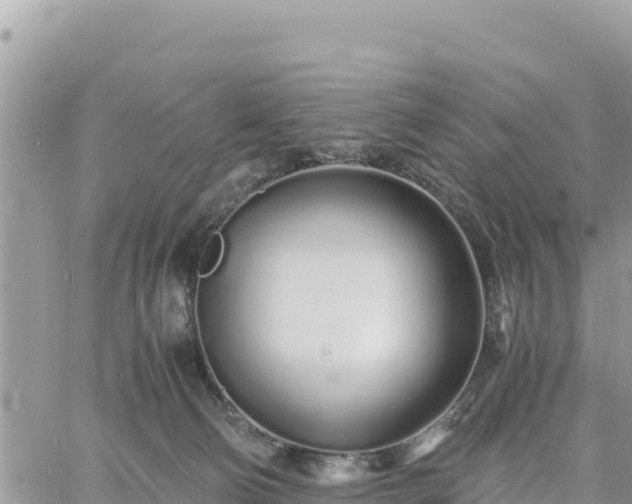 X0000060750130200511171132