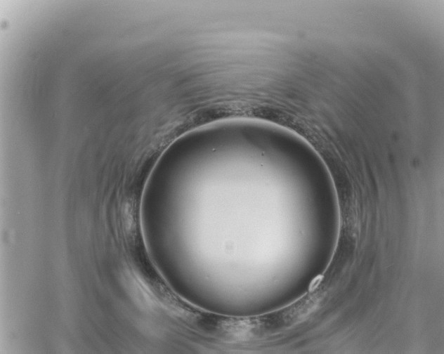 X0000060750131200511171132