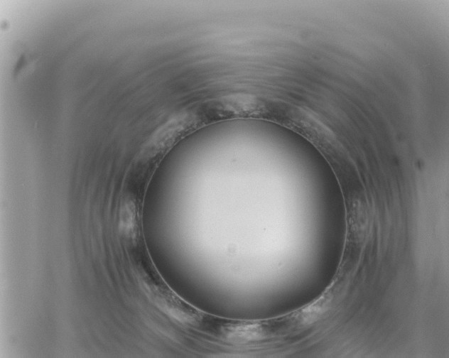 X0000060750132200511171132