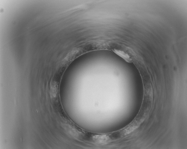 X0000060750133200511171132