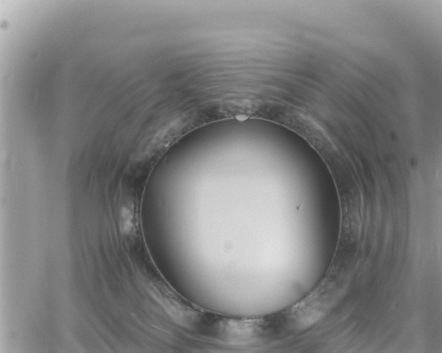 X0000060750134200511171132