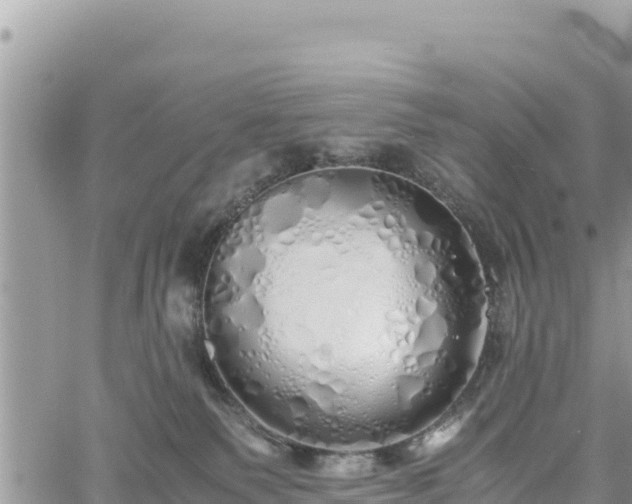 X0000060750135200511171132