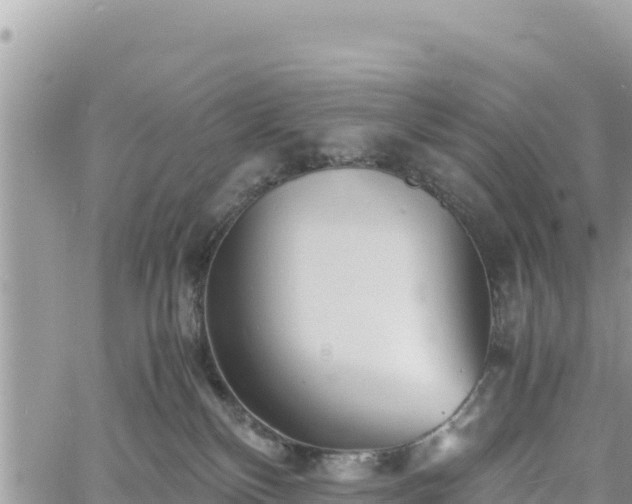 X0000060750136200511171132