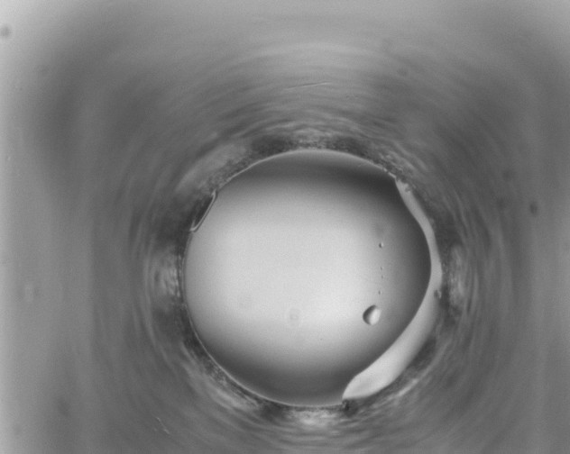 X0000060750137200511171132