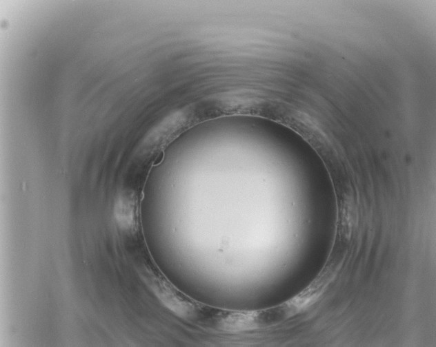 X0000060750138200511171132