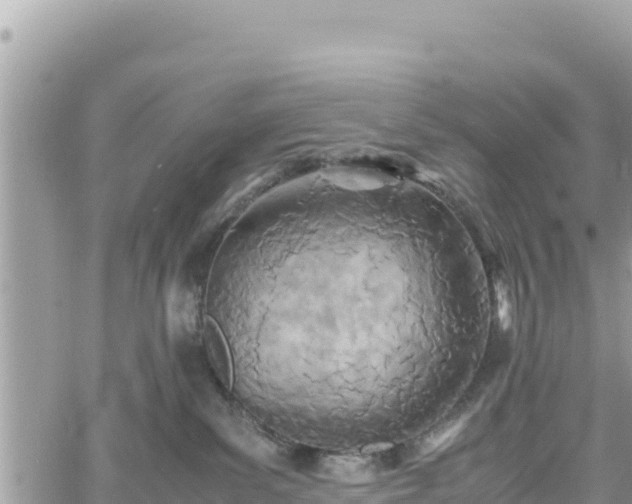 X0000060750139200511171132