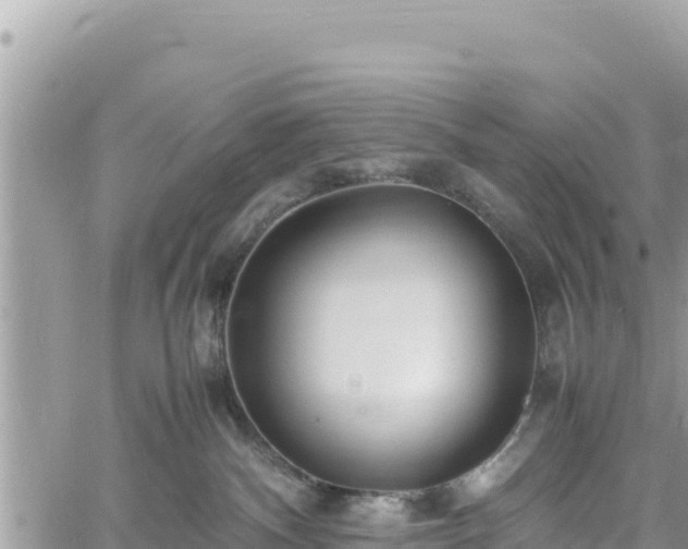 X0000060750140200511171132