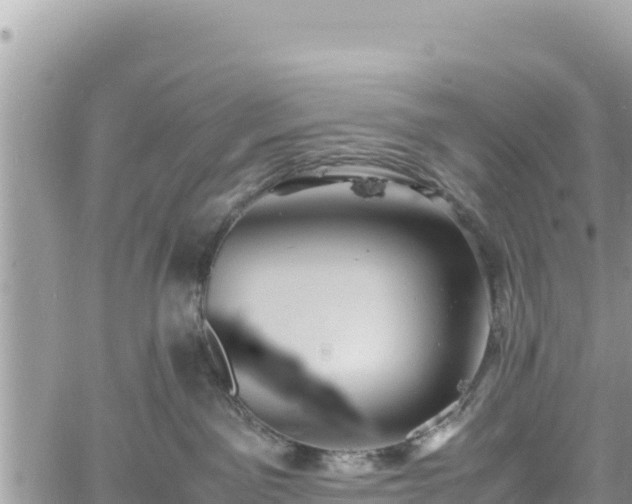 X0000060750141200511171132