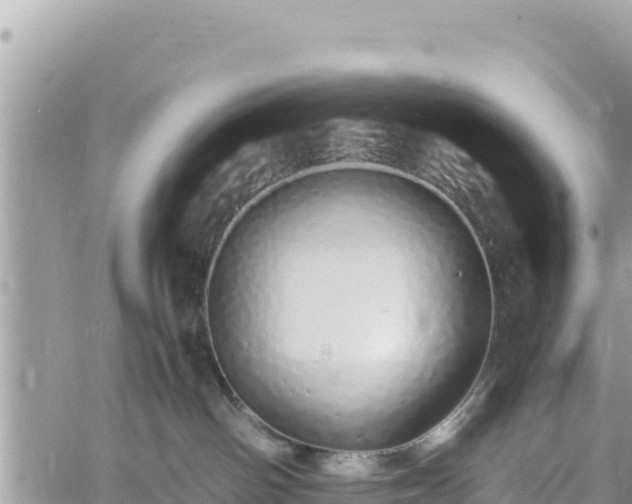 X0000060750142200511171132