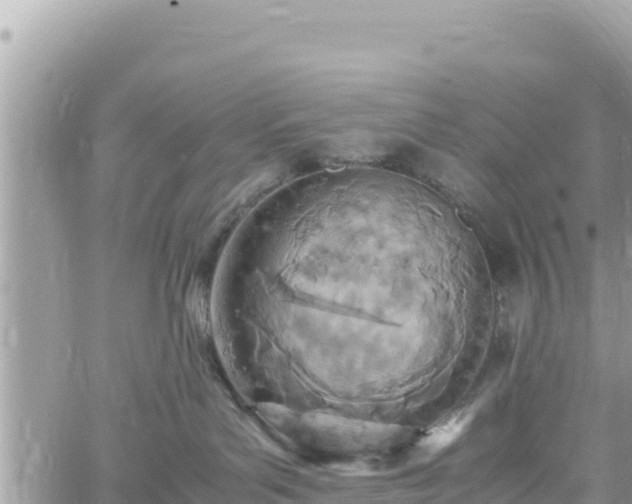 X0000060750143200511171132