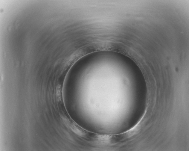 X0000060750144200511171132