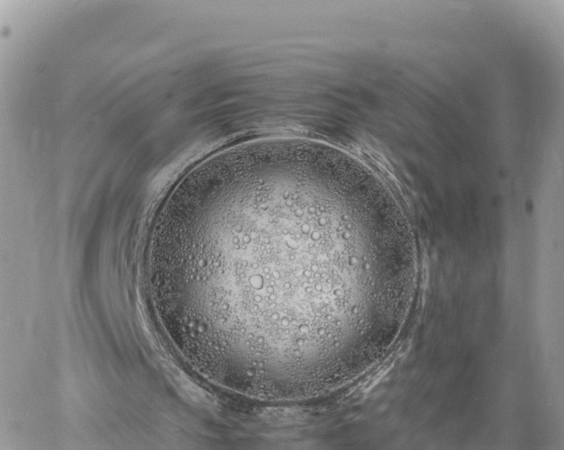 X0000060750145200511171131