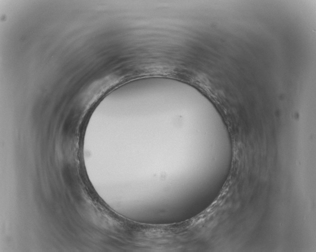 X0000060750146200511171131