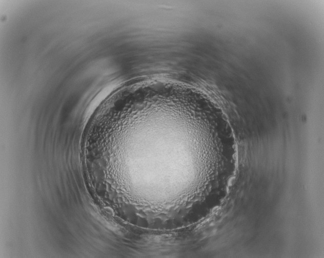 X0000060750147200511171131