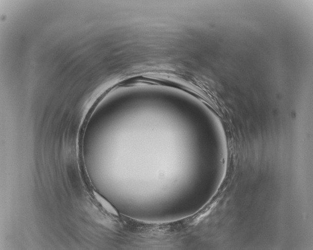 X0000060750148200511171131