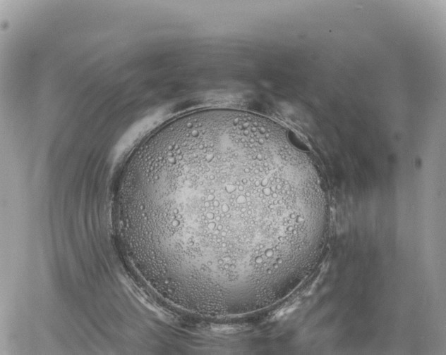 X0000060750149200511171131