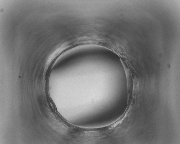 X0000060750150200511171131