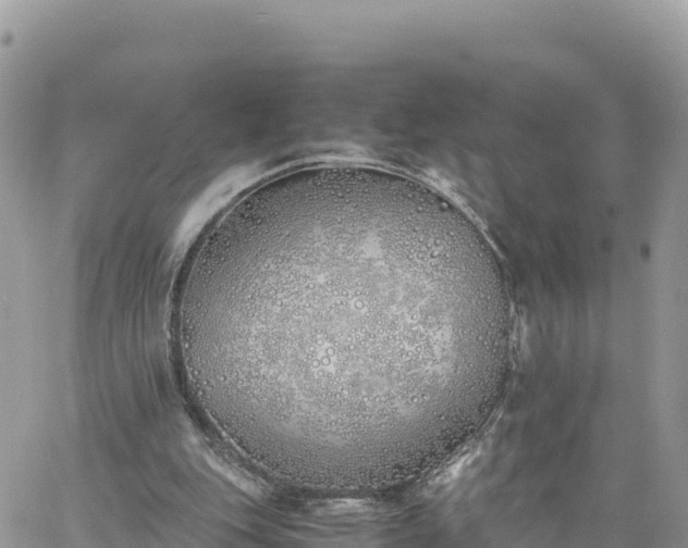 X0000060750151200511171131