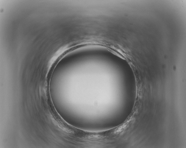 X0000060750152200511171131