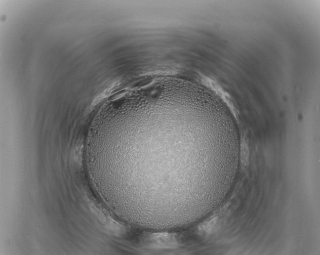 X0000060750153200511171131