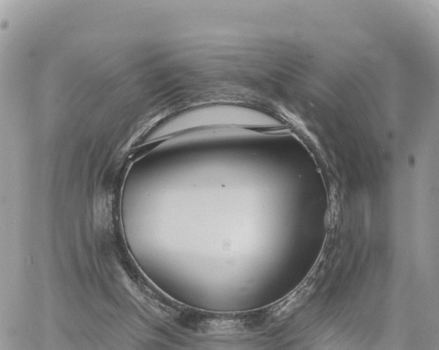 X0000060750154200511171131