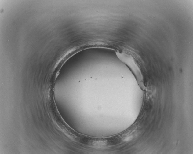 X0000060750156200511171131