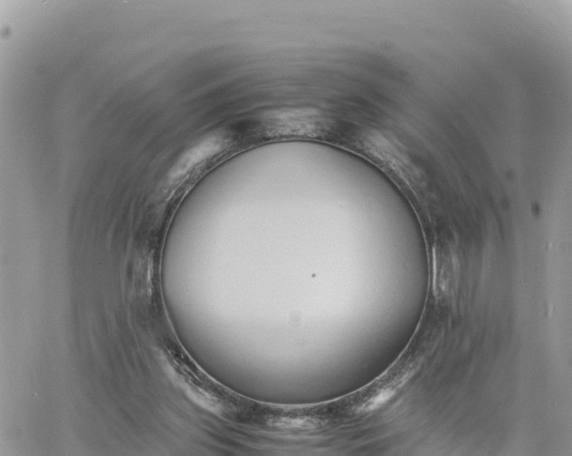 X0000060750157200511171131